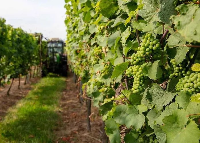 Bourquin Apartamento Steinweiler